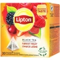 Чай Lipton чорний "Forest fruit" 20 пакетиків (5063270110881) - зменшене зображення 4
