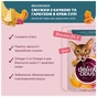 Вологий корм для кішок Delickcious Смужки з качкою та гарбузом в крем-супі 85 г (4820269141797) - зменшене зображення 3