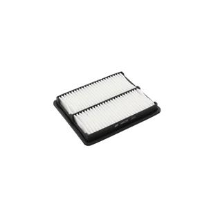 Повітряний фільтр для автомобіля Wixfiltron WA6251 зображення 1