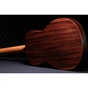 Гітара електроакустична Taylor Guitars 50th Anniversary GS Mini-e Rosewood SB LTD (236873) - уменьшенное изображение 4