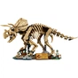 Конструктор LEGO Jurassic Park Скам'янілості динозаврів: Трицератопс (77985) - зменшене зображення 2