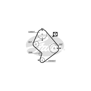 Ремінь ГРМ Gates 5214XS зображення 1