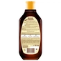 Шампунь Garnier Botanic Therapy Імбирне Відновлення 400 мл (3600542310512) - зменшене зображення 2