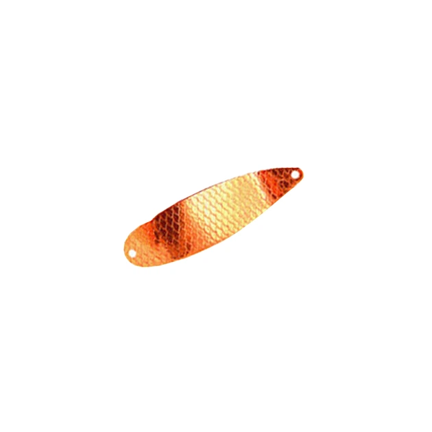 Блешня Fishing ROI Cycklop (C001-4-03) - зображення 1