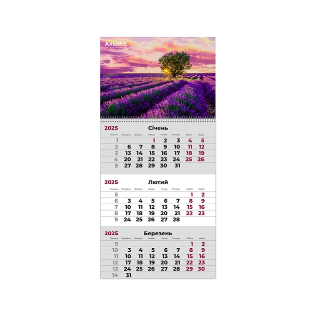 Календар Axent настінний квартальний 2025 рік 1 пр. Provence 1 (8801-25-7-A) - зображення 1