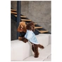 Светр для тварин Pet Fashion Fur М (4823082436064) - уменьшенное изображение 8