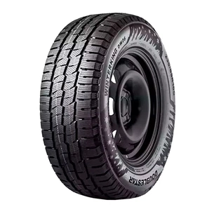 Шина Doublestar Winterking DW06 225/65R16C 112/110R зображення 1