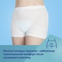 Післяпологові труси Canpol babies 2 шт. L/XL (16/001) - зменшене зображення 12