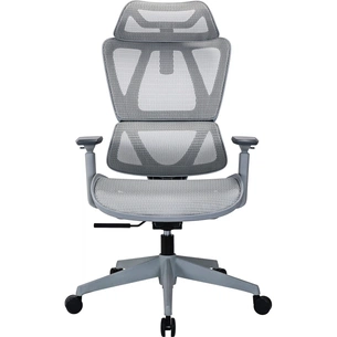 Офісне крісло OfficePro Anvio, OC590G (OC590G) зображення 1