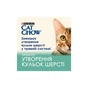 Вологий корм для кішок Purina Cat Chow Hairball з куркою та зеленою квасолею в желе 85г (7613037031393) - зменшене зображення 4