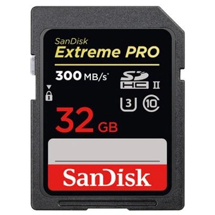 Карта пам'яті SanDisk 32GB SDHC class 10 UHS-I U3 (SDSDXPK-032G-GN4IN) зображення 1