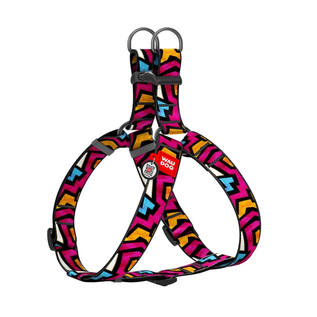 Шлея для собак WAUDOG Nylon з QR паспортом "Графіті" пластиковий фастекс XL (324-0021) - picture 1