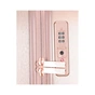 Валіза Titan Barbara Glint Rose Metallic L (Ti845404-15) - зменшене зображення 7