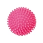 Іграшка для собак Trixie М'яч голчастий з пискавкою d 10 см (кольори в асортименті) (4011905034126) - зменшене зображення 1