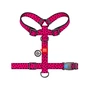 Шлея для собак WAUDOG Nylon анатомічна H-подібна з QR-паспортом "Кавун" пластиковий фастекс XL (323-0049) - уменьшенное изображение 2