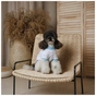 Футболка для тварин Pet Fashion Polo XS2 (4823082446384) - зменшене зображення 3
