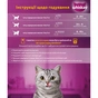 Вологий корм для кішок Whiskas Індичка в соусі 85 г (5900951302077) - зменшене зображення 4