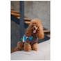 Светр для тварин Pet Fashion Happy L (4823082436132) - зменшене зображення 4