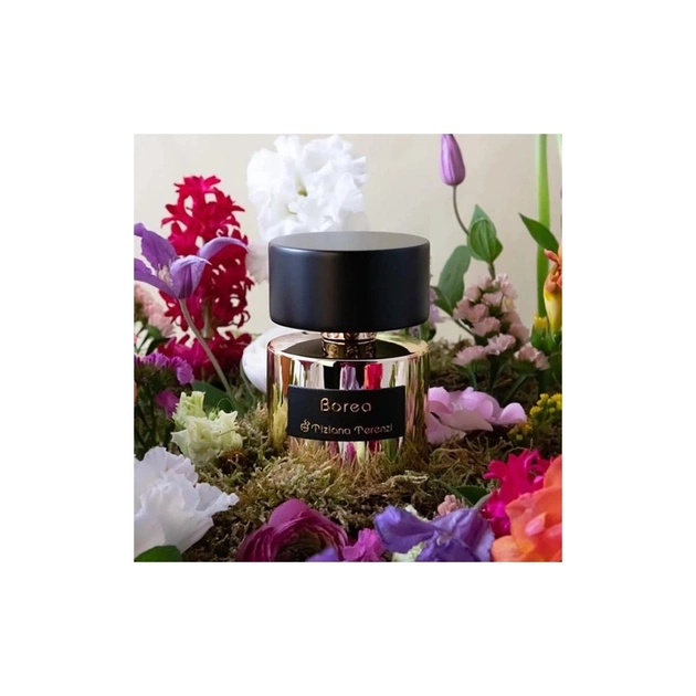 Парфуми Tiziana Terenzi Borea 100 мл (8016741762581) - зображення 4