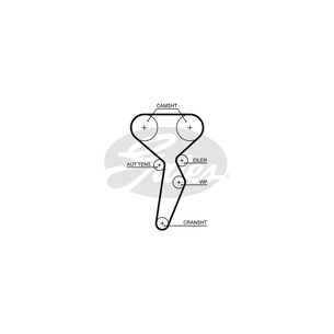 Ремінь ГРМ Gates 5671XS зображення 1