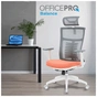 Офісне крісло OfficePro Balance OC550-W-DG-OR (OC550-W-DG-OR) - зменшене зображення 2