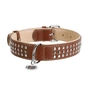 Нашийник для тварин WAUDOG Soft з QR паспортом металічні прикраси L коричневий (7215) - зменшене зображення 2