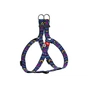 Шлея для собак WAUDOG Nylon з QR паспортом анатомічна "Інді" S (4963) - зменшене зображення 1