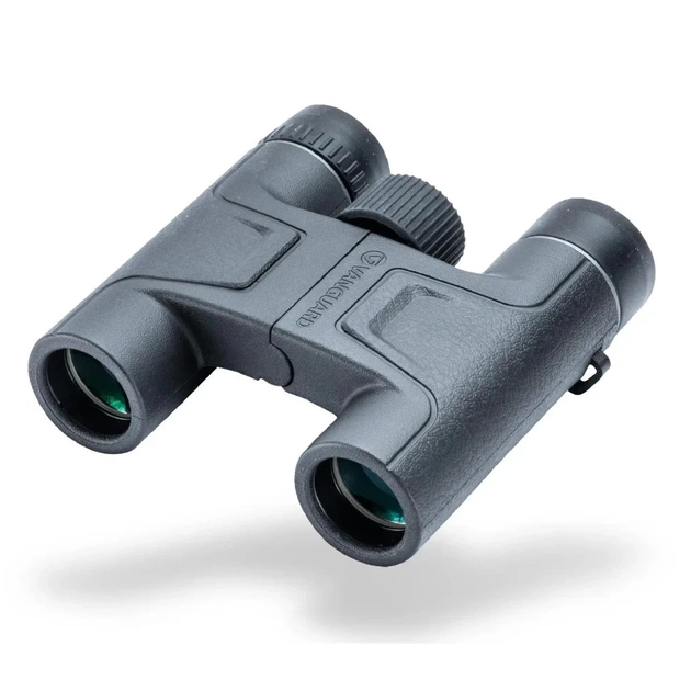 Бінокль Vanguard Vesta 10x25 WP (Vesta 1025) - зображення 1