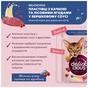 Вологий корм для кішок Delickcious Пластівці з кроликом та тропічними фруктами у вершковому соусі 80 г (4820269141841) - зменшене зображення 3