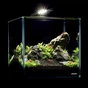 Акваріум Aqualighter набір NaGLASS Nano Set 220 мм 10 л (7142) - зменшене зображення 6