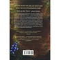 Книга Крамничка чарів. Книга 1 - Сара Бет Дерст КСД (9786171517301) - зменшене зображення 2