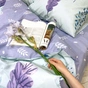 Постільна білизна Viluta 20112 Ранфорс євро (20112-ev) - уменьшенное изображение 2