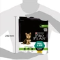 Сухий корм для собак Purina Pro Plan Dog Small&Mini Puppy з куркою і рисом 700 г (7613035118744) - зменшене зображення 2