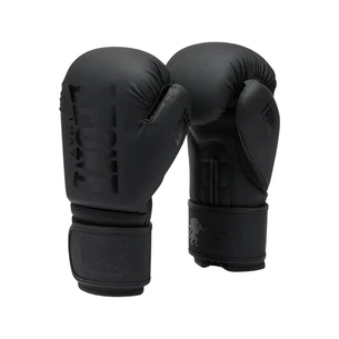 Боксерские перчатки Leone GN058 Tone X Black 12 oz (GN058_Black_12oz) изображение 1