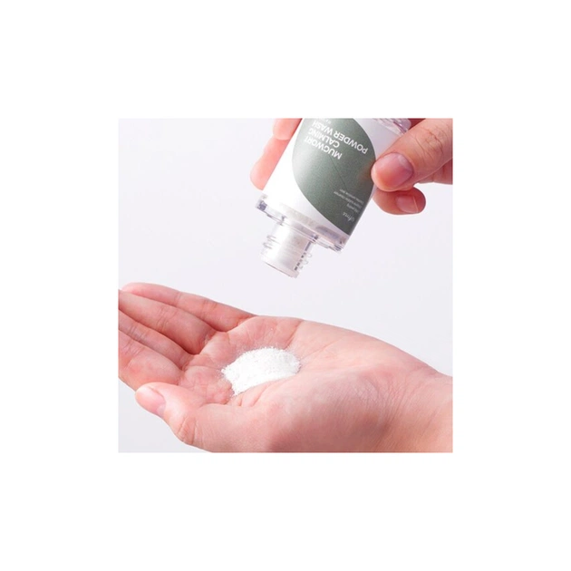 Пілінг для обличчя IsNtree Mugwort Calming Powder Wash Ензимна пудра з екстрактом полину 15 г (8809800940217) - picture 2