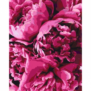 Картина по номерам Santi Королівські півонії 40*50 см (953889) зображення 1