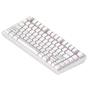 Клавіатура Dark Project ALU81 Terra Nostra PBT RGB Mech G3MS Moonstone White (DPKB_NOSTRA_81_ANSI_WHITE_UA) - зменшене зображення 3
