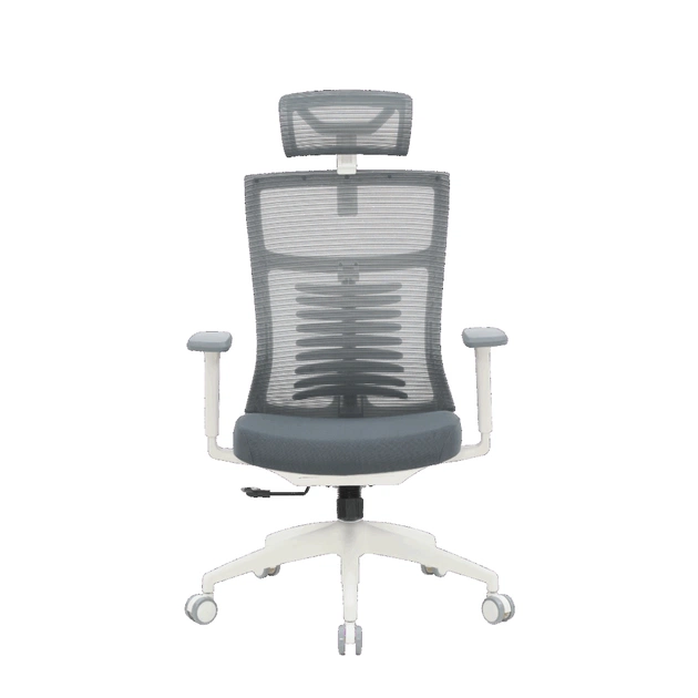 Офісне крісло OfficePro Balance OC550-W-DG-DG (OC550-W-DG-DG) - зображення 1