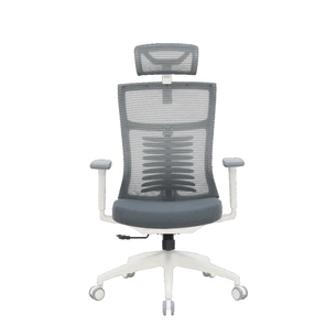 Офісне крісло OfficePro Balance OC550-W-DG-DG (OC550-W-DG-DG) зображення 1