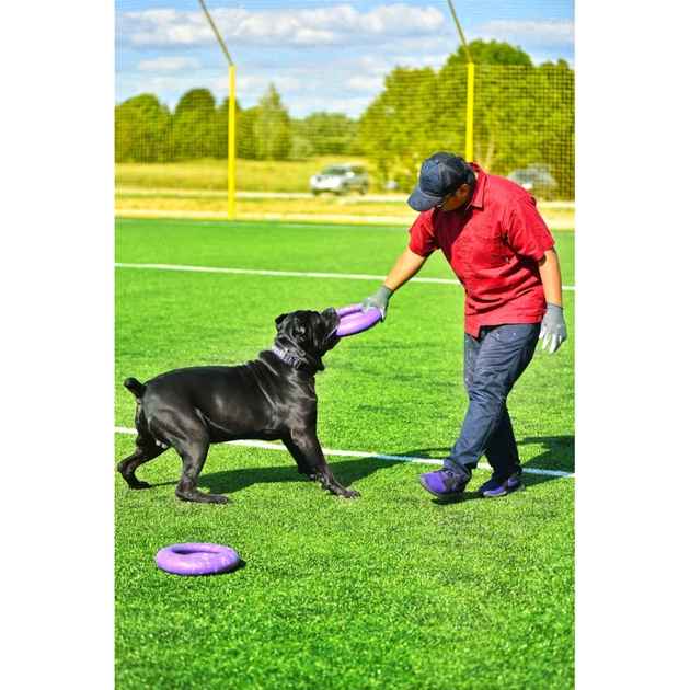 Іграшка для собак Puller Maxi 30 см (6492) - picture 10