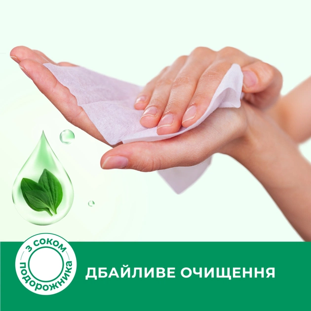 Вологі серветки Smile Antibacterial з соком подорожника 100 шт. (4823071636741/4823071656466) - зображення 3