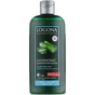 Шампунь Logona Зволоження та Захист для сухого волосся з Алое Вера 250 мл (4017645032279) - зменшене зображення 1