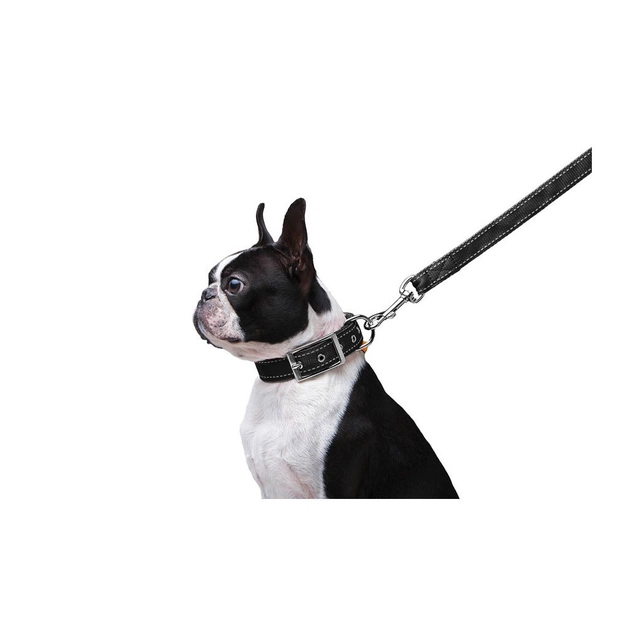 Повідець для собак Dog Extreme з нейлону подвійний Ш 20 мм Д 122 см чорний (42981) - picture 4