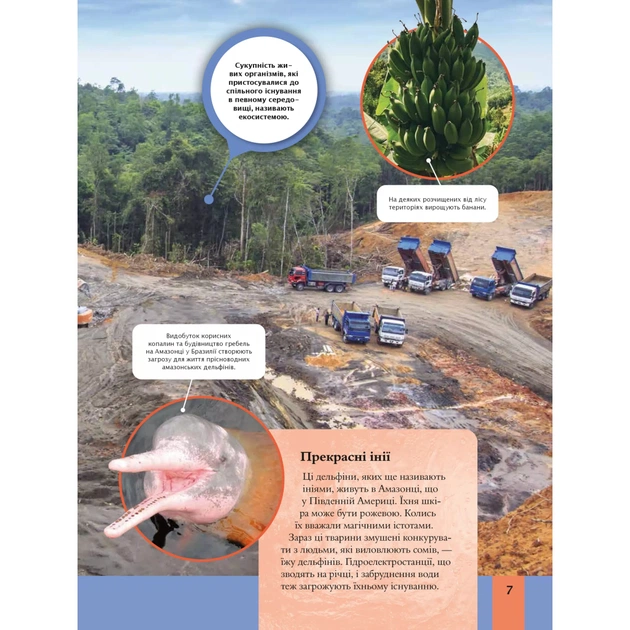 Книга Дитяча енциклопедія довкілля Vivat (9786171704831) - picture 7