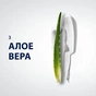 Піна для гоління Gillette Series Для чутливої шкіри з алое вера 200 мл (8001090870926) - уменьшенное изображение 5