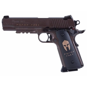 Пневматичний пістолет Sig Sauer Air 1911 Spartan 4,5 мм (AIR-1911BB-SPARTAN) изображение 1