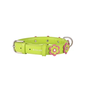 Нашийник для тварин Collar GLAMOUR з оздобленням "Аплікація" Ш 35 мм Д 46-60 см салатовий (35045) зображення 1