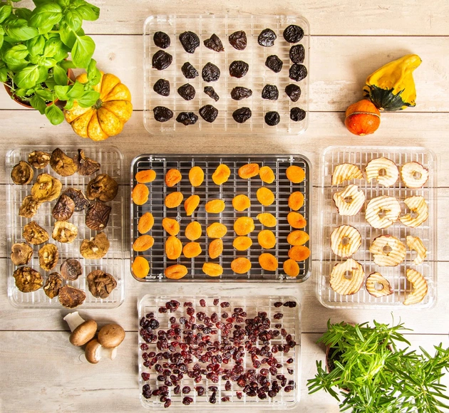 Сушарка First FA-5126-5 - зображення 14