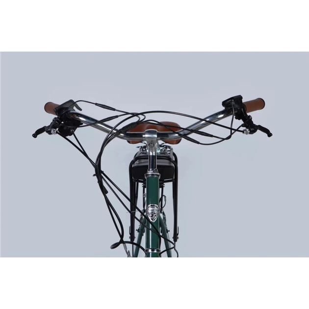 Електровелосипед Dorozhnik 28" eRETRO Vbr FR рама-19" 36B 13А*г 500Вт 2026 зелено-сірий (ELB-D-28-111) - picture 6