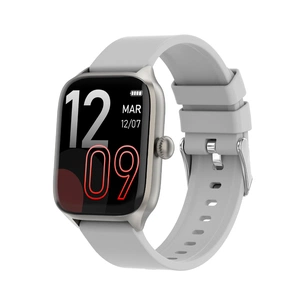 Смарт-годинник Gelius Pro GP-SW012 (Amazwatch GTS) Silver (2099900942549) зображення 1